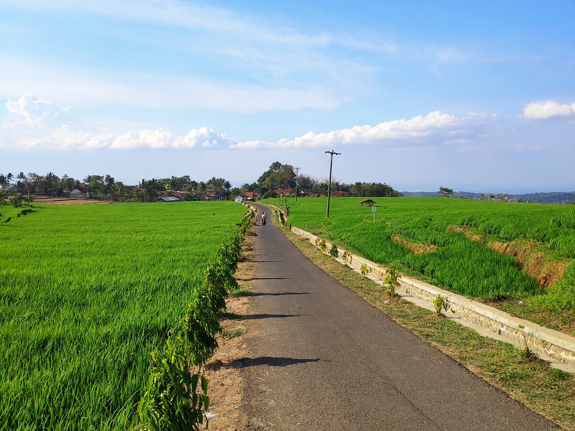 Sawah Yang Hijau di Desa Heubeulisuk