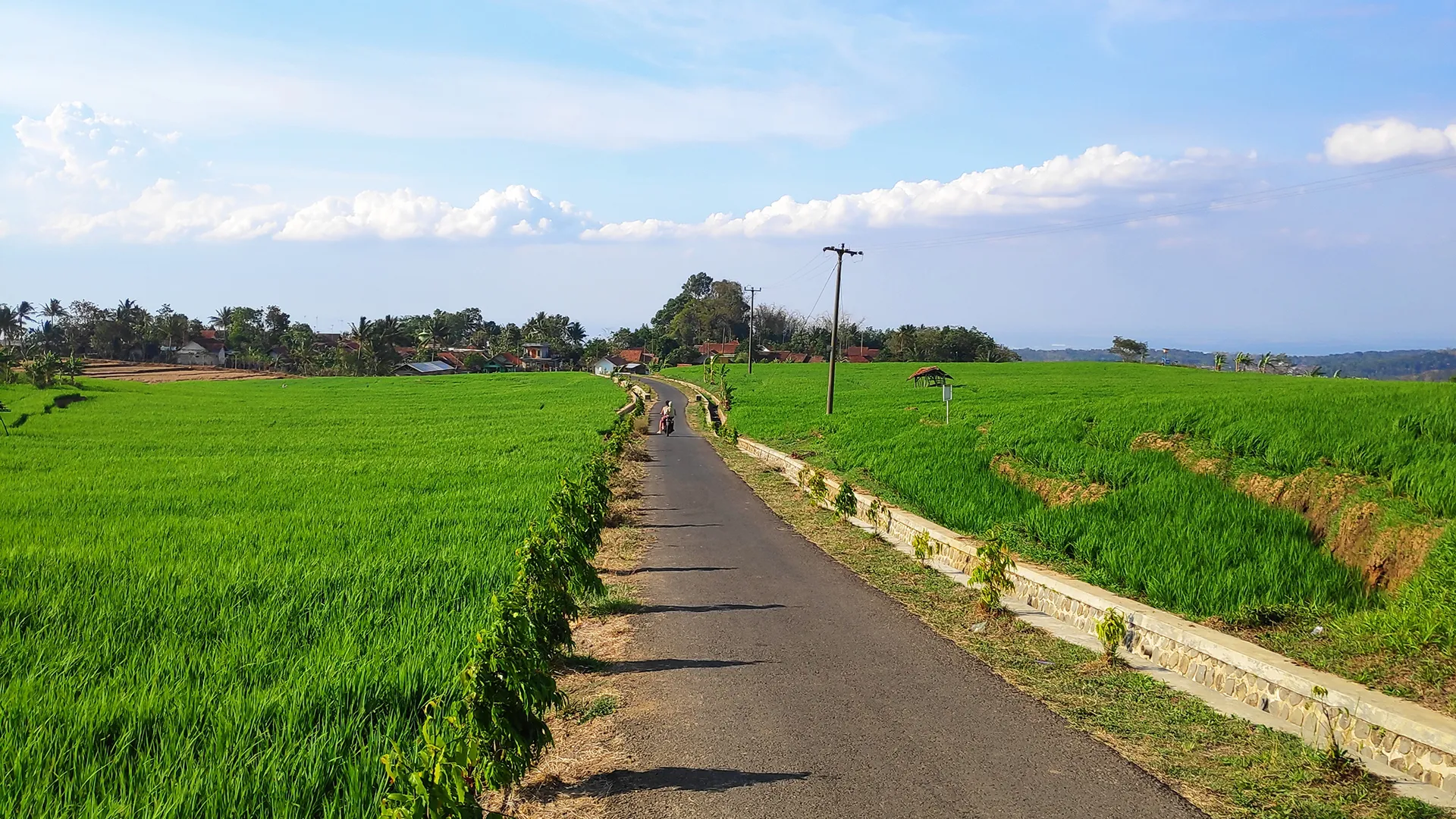 Sebuah jalan di tengah pesawahan di Heubeulisuk.